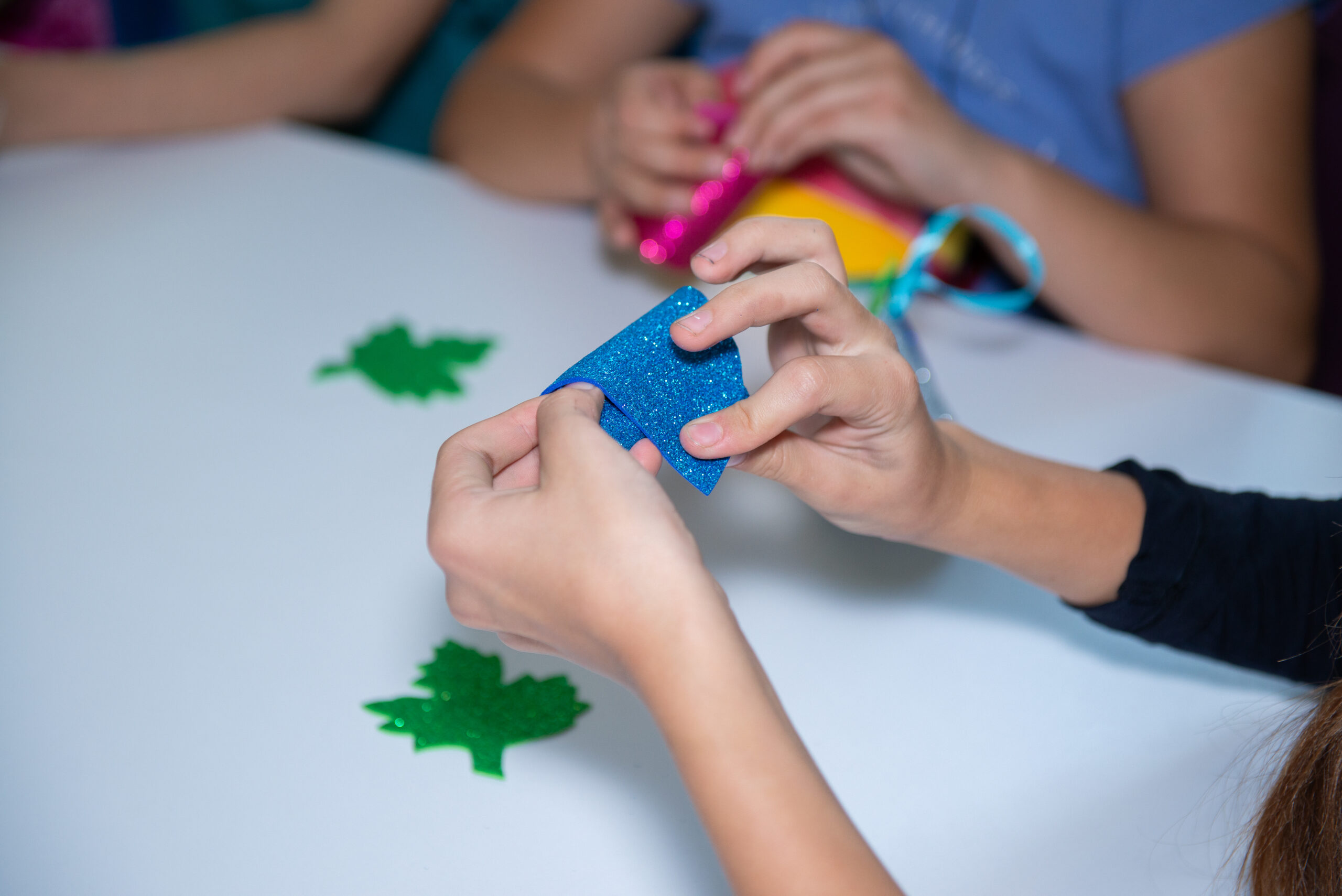 Проєкт: «Консорціум захисту України – Захист життів за допомогою комплексної багатосекторальної допомоги (UPC-PRIMA) II» 